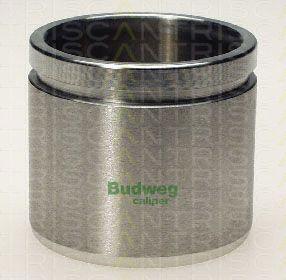 Triscan 8170 235711 - Piston, étrier de frein cwaw.fr