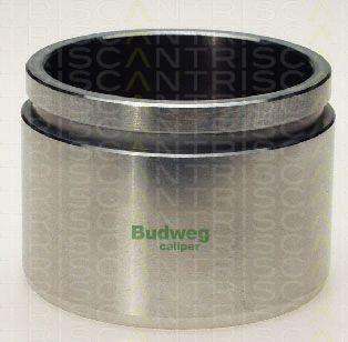 Triscan 8170 236801 - Piston, étrier de frein cwaw.fr