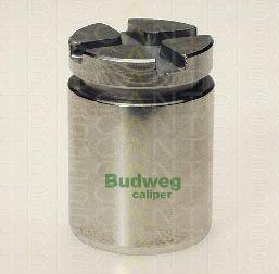 Triscan 8170 233414 - Piston, étrier de frein cwaw.fr