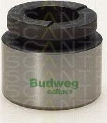 Triscan 8170 233624 - Piston, étrier de frein cwaw.fr