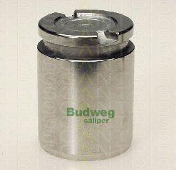 Triscan 8170 233815 - Piston, étrier de frein cwaw.fr