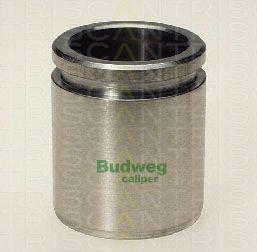 Triscan 8170 233831 - Piston, étrier de frein cwaw.fr