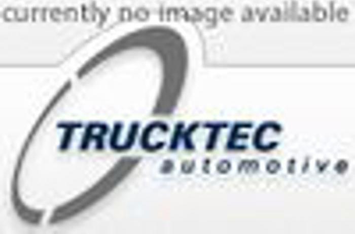 Trucktec Automotive 02.67.266 - Chaîne de distribution cwaw.fr