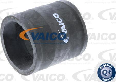 VAICO V40-1366 - Gaine de suralimentation cwaw.fr