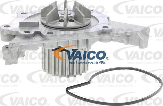 VAICO V42-50000 - Pompe à eau cwaw.fr