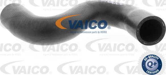 VAICO V42-0635 - Durite de radiateur cwaw.fr