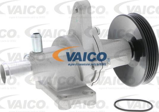 VAICO V51-50005 - Pompe à eau cwaw.fr