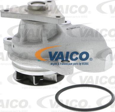 VAICO V53-50006 - Pompe à eau cwaw.fr