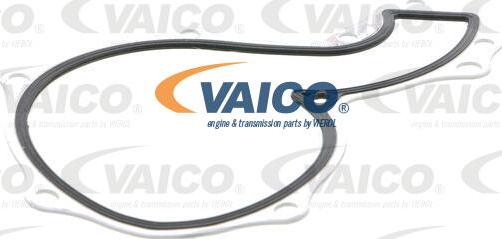 VAICO V10-50045 - Pompe à eau cwaw.fr