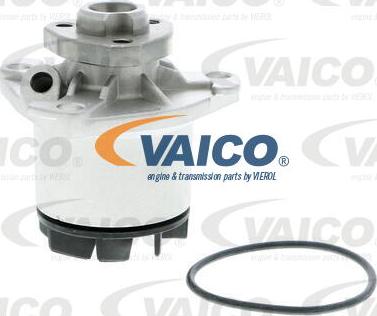 VAICO V10-50040 - Pompe à eau cwaw.fr