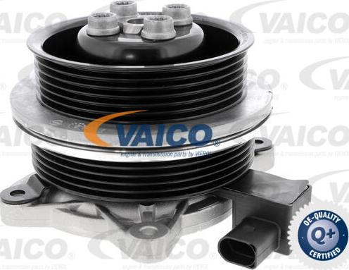 VAICO V10-50065 - Pompe à eau cwaw.fr