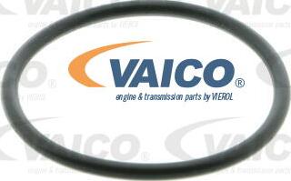 VAICO V10-50001-1 - Pompe à eau cwaw.fr