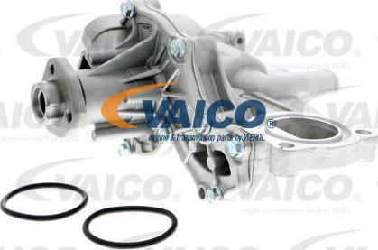 VAICO V10-50013 - Pompe à eau cwaw.fr