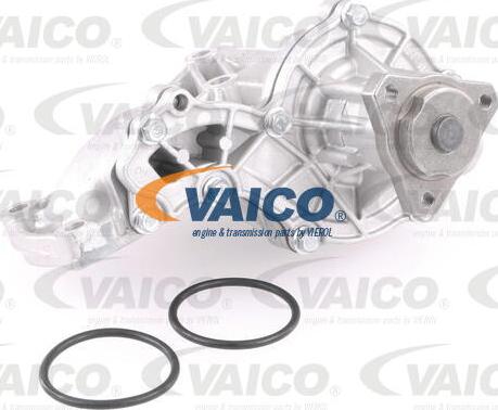 VAICO V10-50039 - Pompe à eau cwaw.fr