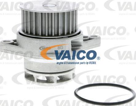 VAICO V10-50037 - Pompe à eau cwaw.fr