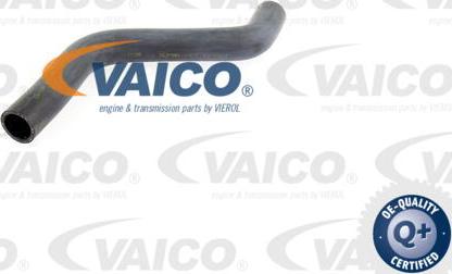 VAICO V10-0060 - Durite de radiateur cwaw.fr