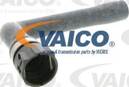 VAICO V10-0895 - Durite de radiateur cwaw.fr