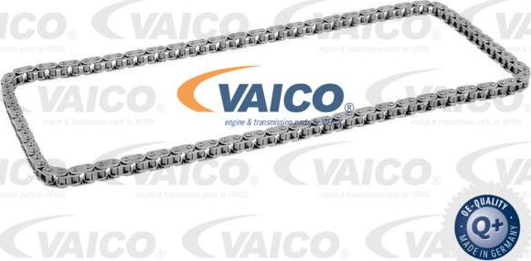 VAICO V10-3405 - Chaîne de distribution cwaw.fr