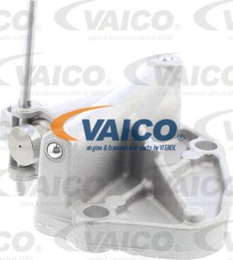 VAICO V10-4503 - Tendeur, chaîne de distribution cwaw.fr