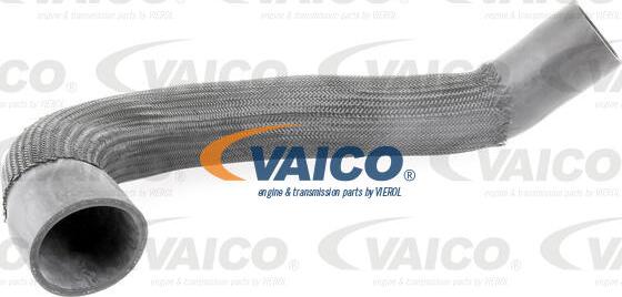 VAICO V10-3838 - Gaine de suralimentation cwaw.fr