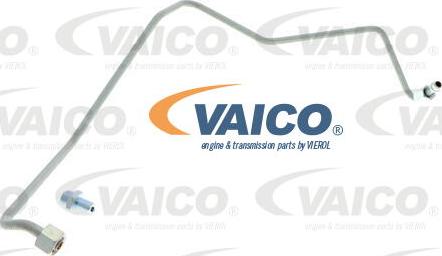 VAICO V10-3733 - Conduite d'huile, compresseur cwaw.fr