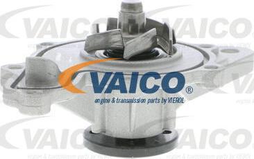 VAICO V30-50055 - Pompe à eau cwaw.fr