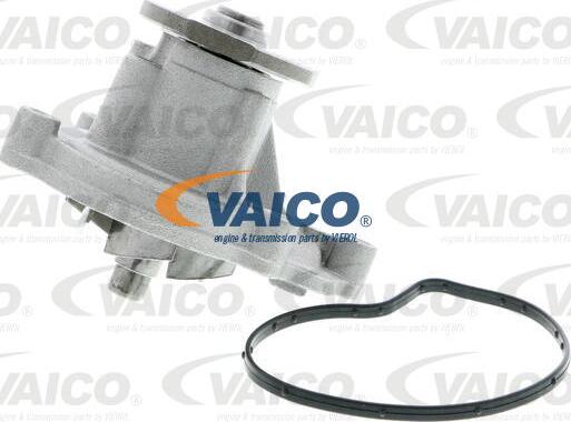 VAICO V30-50056 - Pompe à eau cwaw.fr