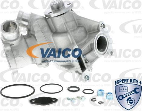 VAICO V30-50015 - Pompe à eau cwaw.fr