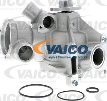 VAICO V30-50020 - Pompe à eau cwaw.fr