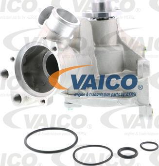 VAICO V30-50079 - Pompe à eau cwaw.fr