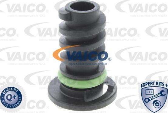 VAICO V30-1007 - Vis-bouchon, carter d'huile cwaw.fr