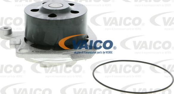 VAICO V24-50010 - Pompe à eau cwaw.fr