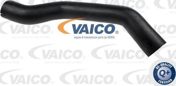 VAICO V24-0680 - Gaine de suralimentation cwaw.fr