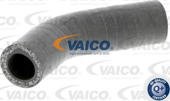 VAICO V24-0631 - Gaine de suralimentation cwaw.fr