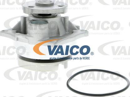 VAICO V25-50011 - Pompe à eau cwaw.fr