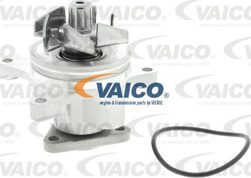 VAICO V25-50013 - Pompe à eau cwaw.fr