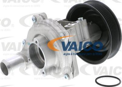 VAICO V25-50022 - Pompe à eau cwaw.fr