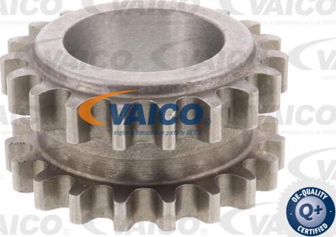 VAICO V25-2093 - Roue dentée, vilebrequin cwaw.fr