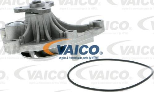 VAICO V20-50045 - Pompe à eau cwaw.fr