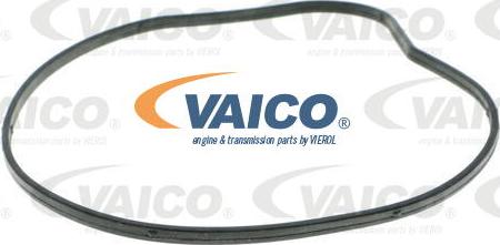 VAICO V20-50046 - Pompe à eau cwaw.fr