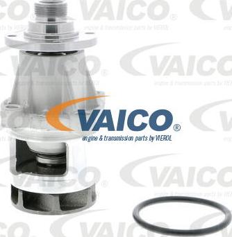 VAICO V20-50013 - Pompe à eau cwaw.fr