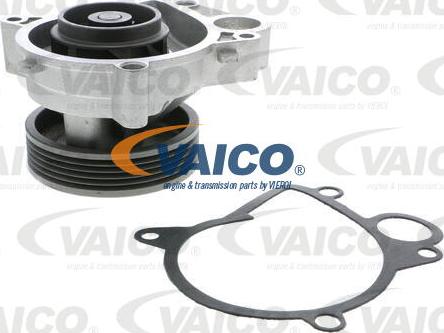 VAICO V20-50033 - Pompe à eau cwaw.fr