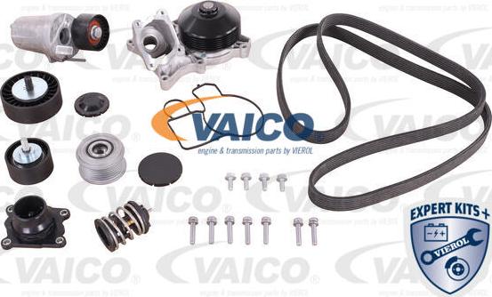 VAICO V20-50100-BEK - Pompe à eau + kit de courroie de distribution cwaw.fr