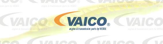 VAICO V20-3144 - Coulisse, chaîne de distribution cwaw.fr