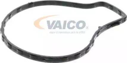 VAICO V70-50006 - Pompe à eau cwaw.fr