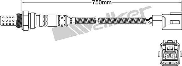 VEGAZ DLS-128 - Sonde lambda cwaw.fr