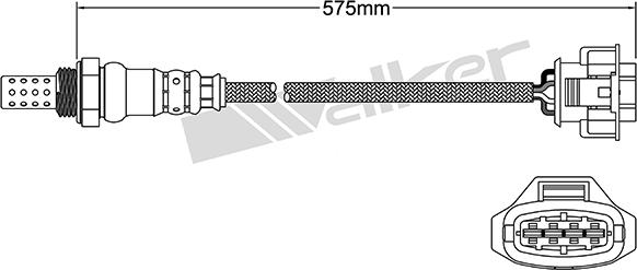 VEGAZ ULS-346 - Sonde lambda cwaw.fr