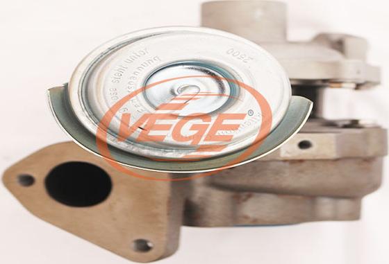 Vege 09151950 - Turbocompresseur, suralimentation cwaw.fr