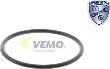 Vemo V15-99-1984-1 - Thermostat d'eau cwaw.fr