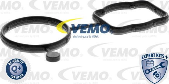 Vemo V15-99-2108 - Thermostat d'eau cwaw.fr